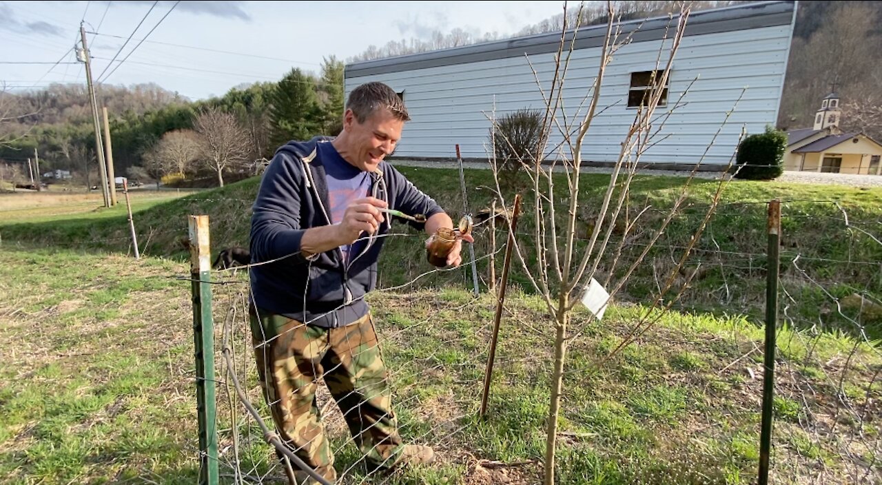 Billy's Bone Sauce (Deer Repellant)...Will it Work?