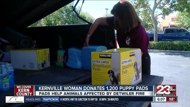 Kernville woman donates to Detwiler Fire shelter animals