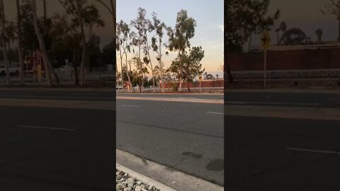 Here Comes The Train