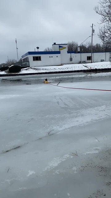 South MKE FD rescues bulldog from Lake Michigan