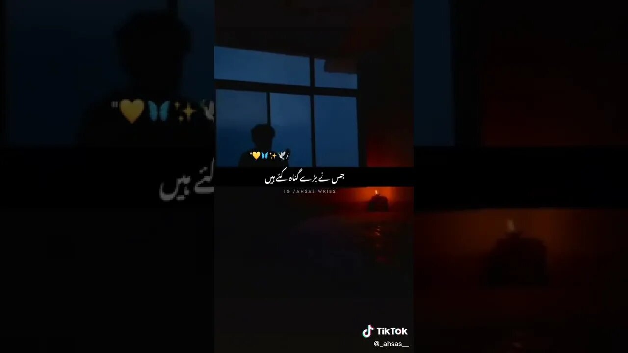 TikTok TikTok Search 7