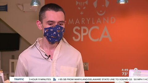 Virtual adoptions happening at the Maryland SPCA