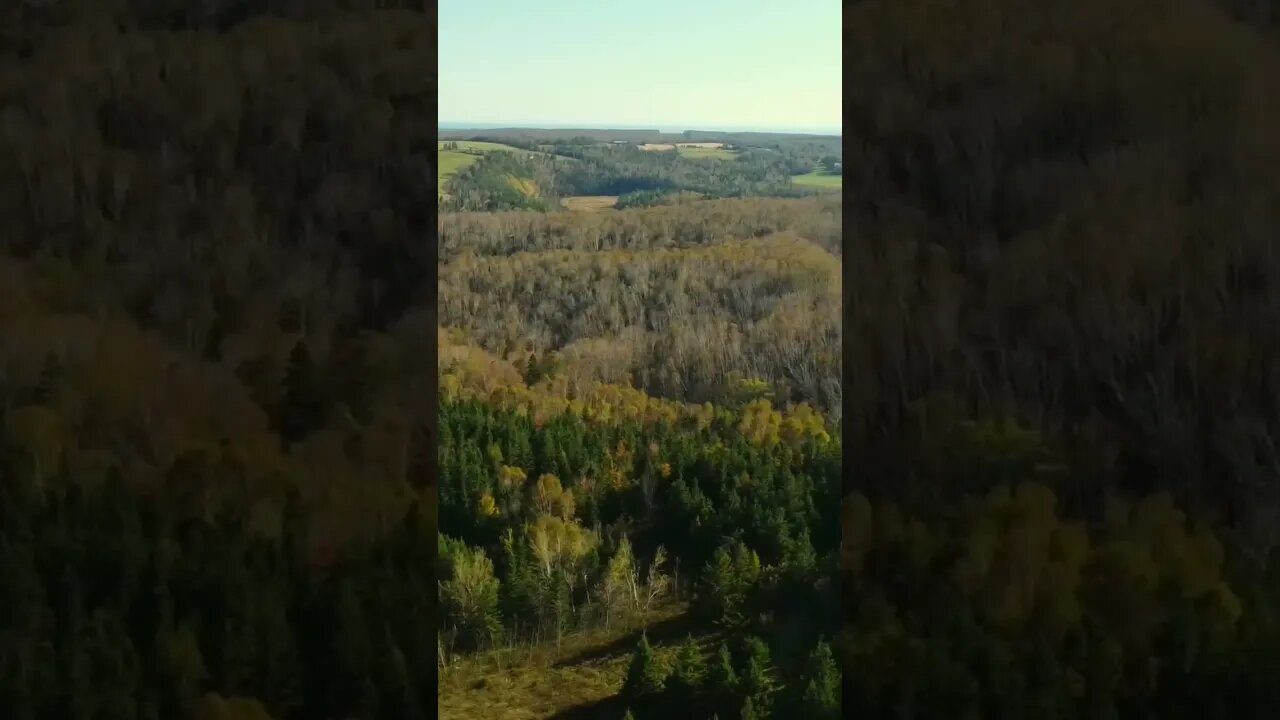 Drone View Hurricane Fiona’s Damage