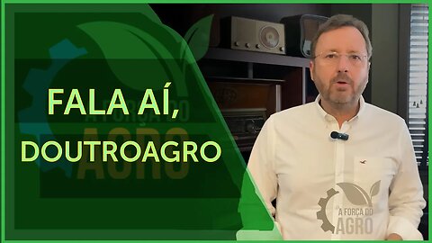 Um em cada três frangos consumidos no mundo é do Brasil