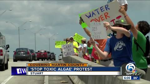 Residents protest toxic algae in Stuart