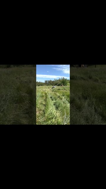 off roading in a mitsubishi #shorts