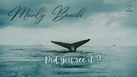 did you see the whale tale ? Manly Beach Australia #whale #sydney