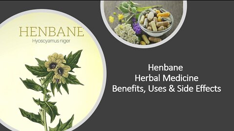 Henbane Herbal Medicine Benefits, Uses & Side Effects