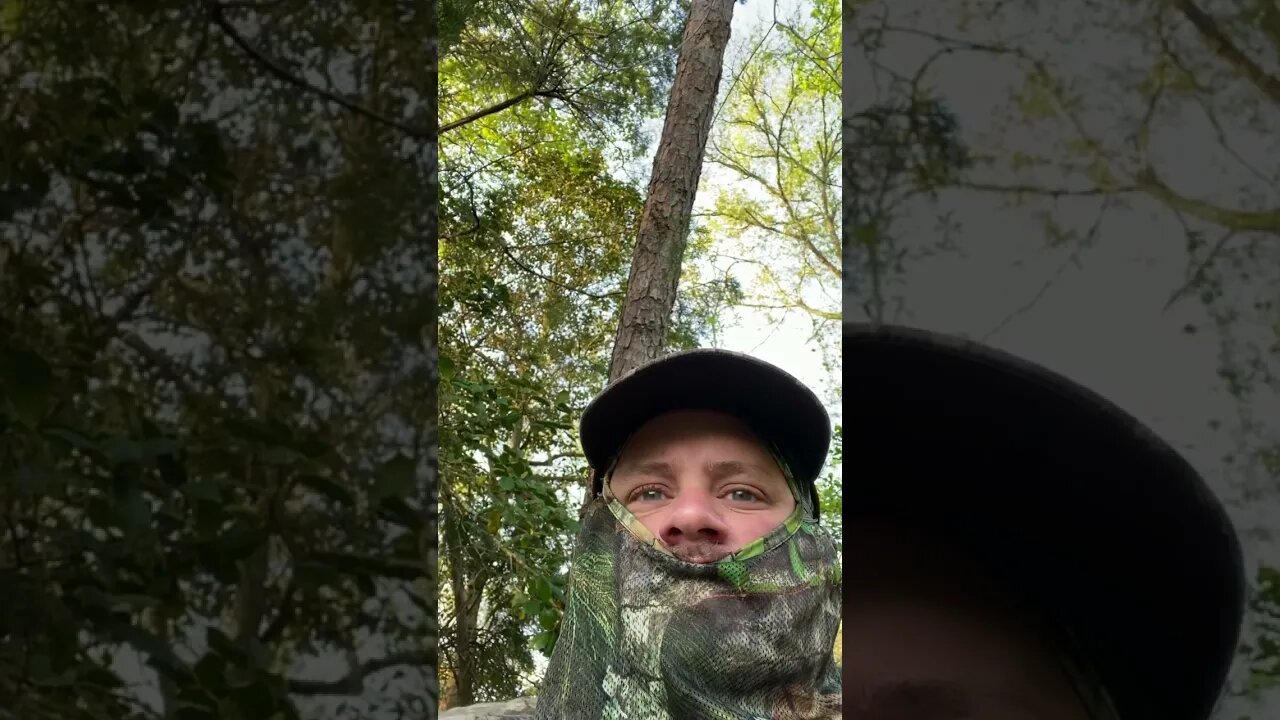These narcs are about to get some stitches #outdoors #turkeyhunting #crows ￼