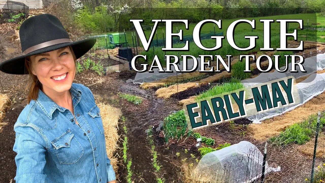 Vegetable Garden Tour Early-May 2022: Zone 6a, Ohio