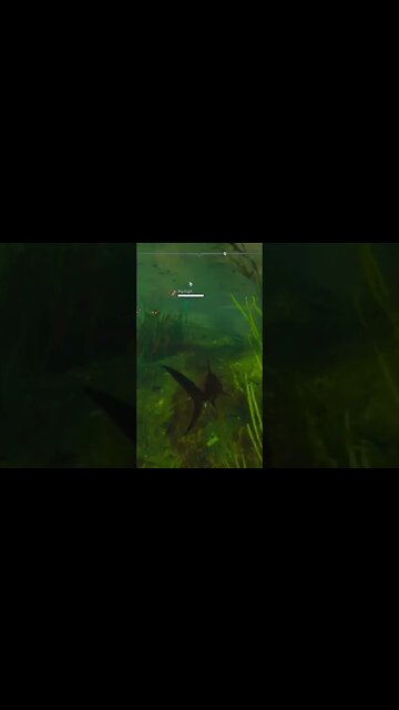 maneater birds of passage