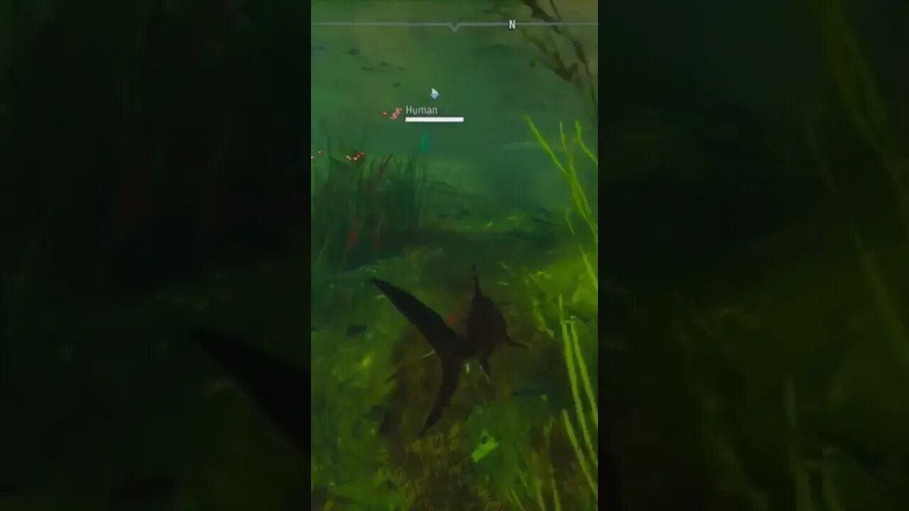 maneater birds of passage