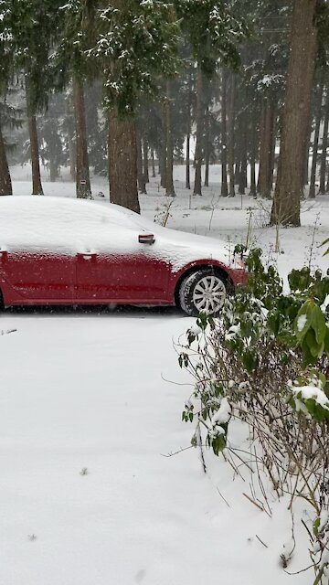 It’s snowing today!