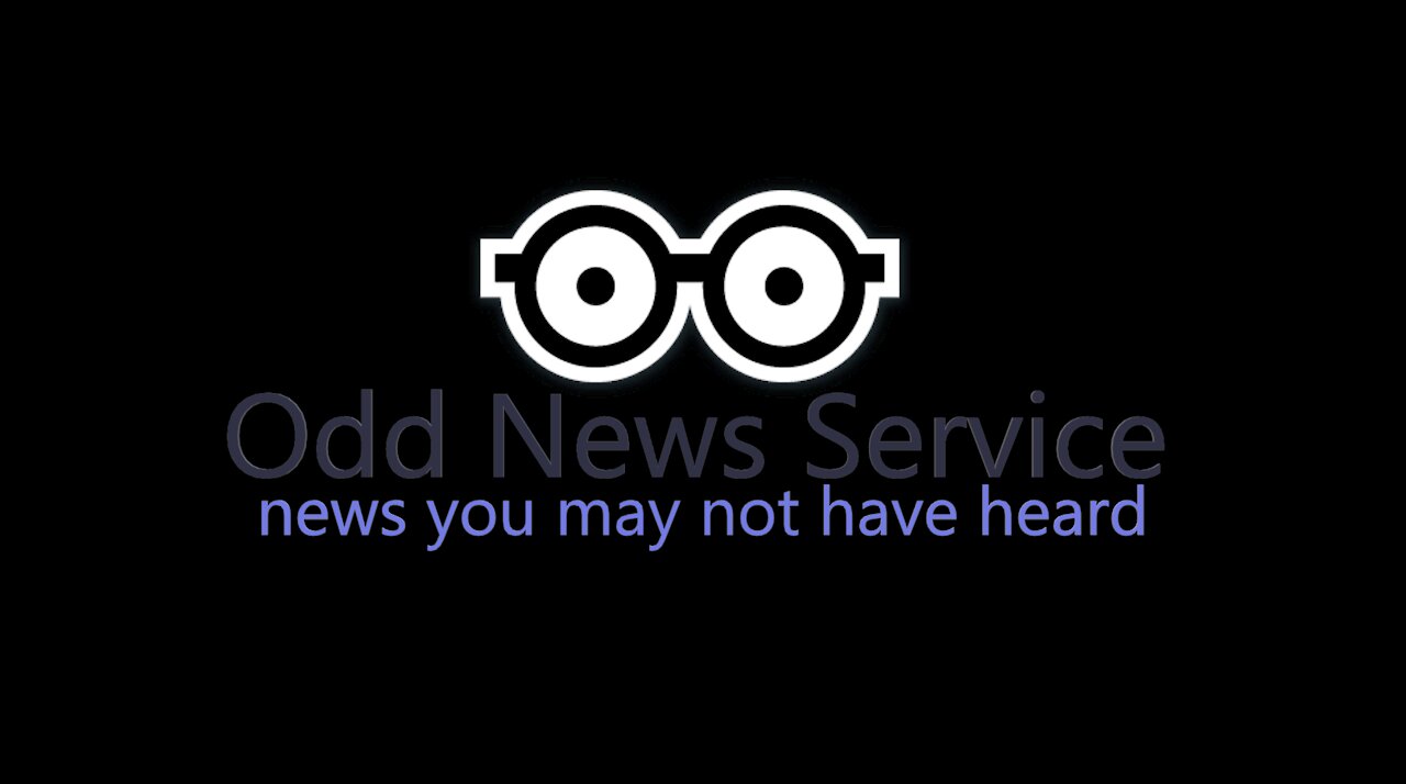 The Odd News Service - Episode 42