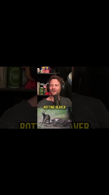 When Your Girlfriend Thinks She's A Witch