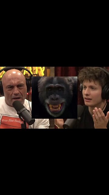 Joe Rogan - There Are Way More Human Species Than We Think!