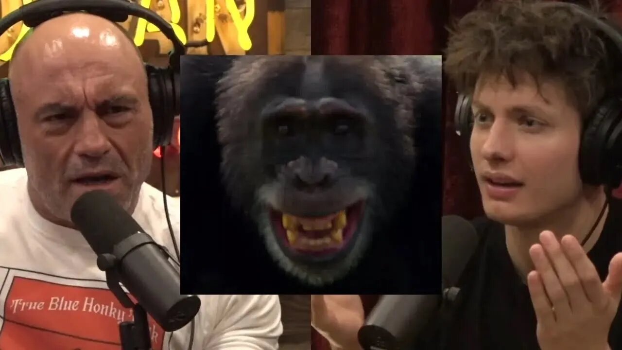 Joe Rogan - There Are Way More Human Species Than We Think!