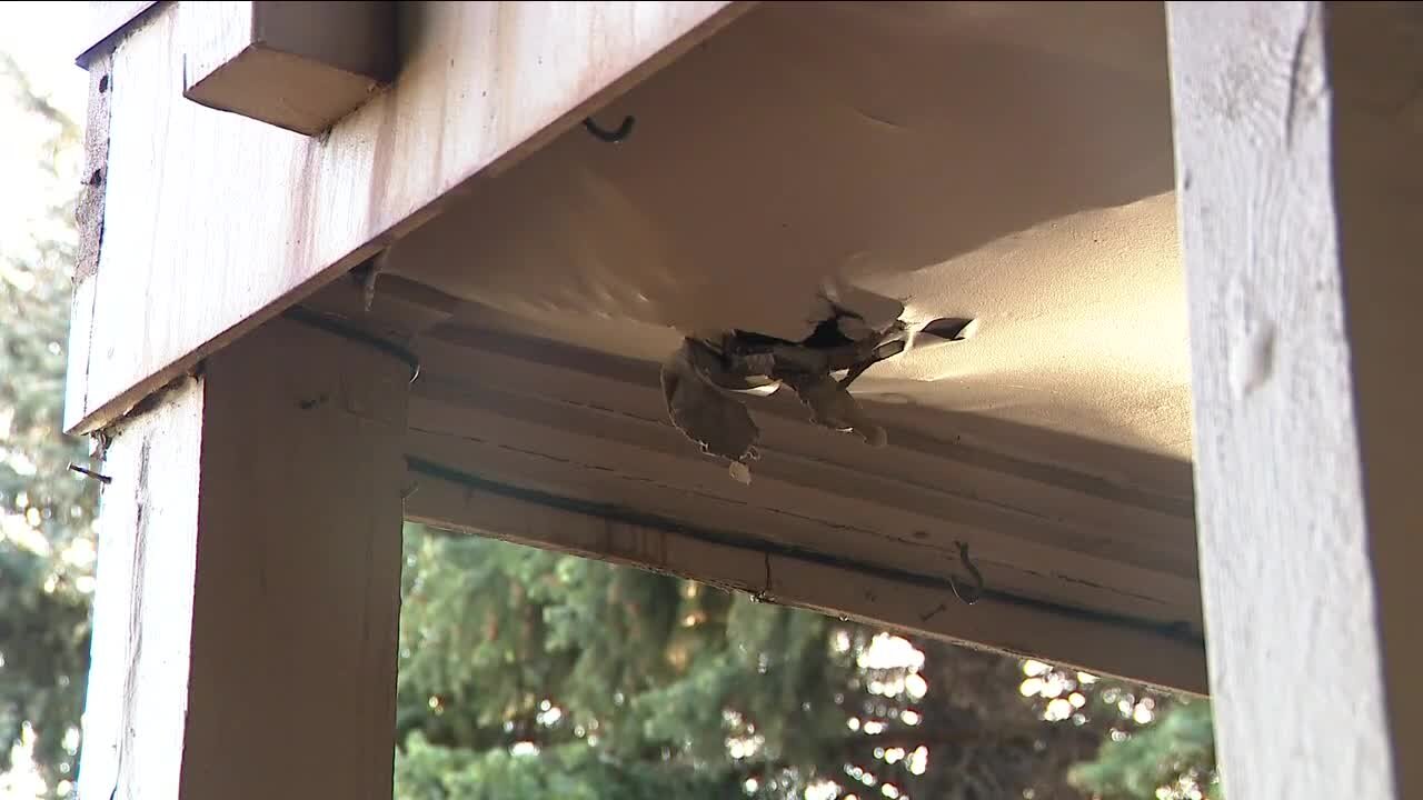 Fungus, rot, overgrowth, decay; Aurora condo owners say HOA has avoided fixes for years