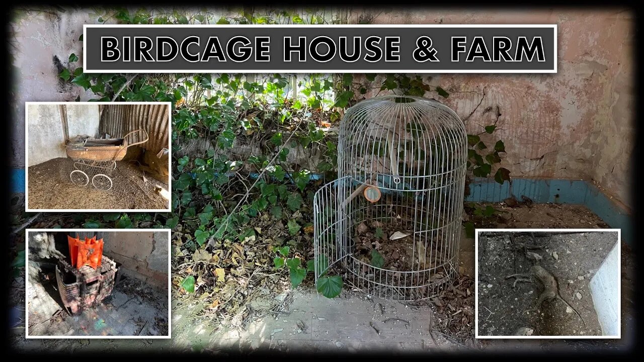 Bird Cage House & Farm