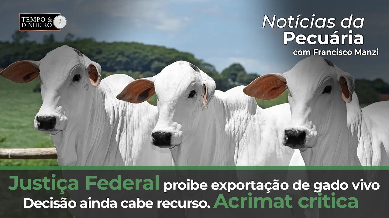 Justiça Federal proibe exportação de gado vivo. Decisão ainda cabe recurso. Acrimat critica