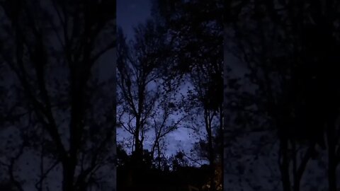 Here is a video of the lightning form tornado in lower Drew county arkansas from Tuesday 11/29/22