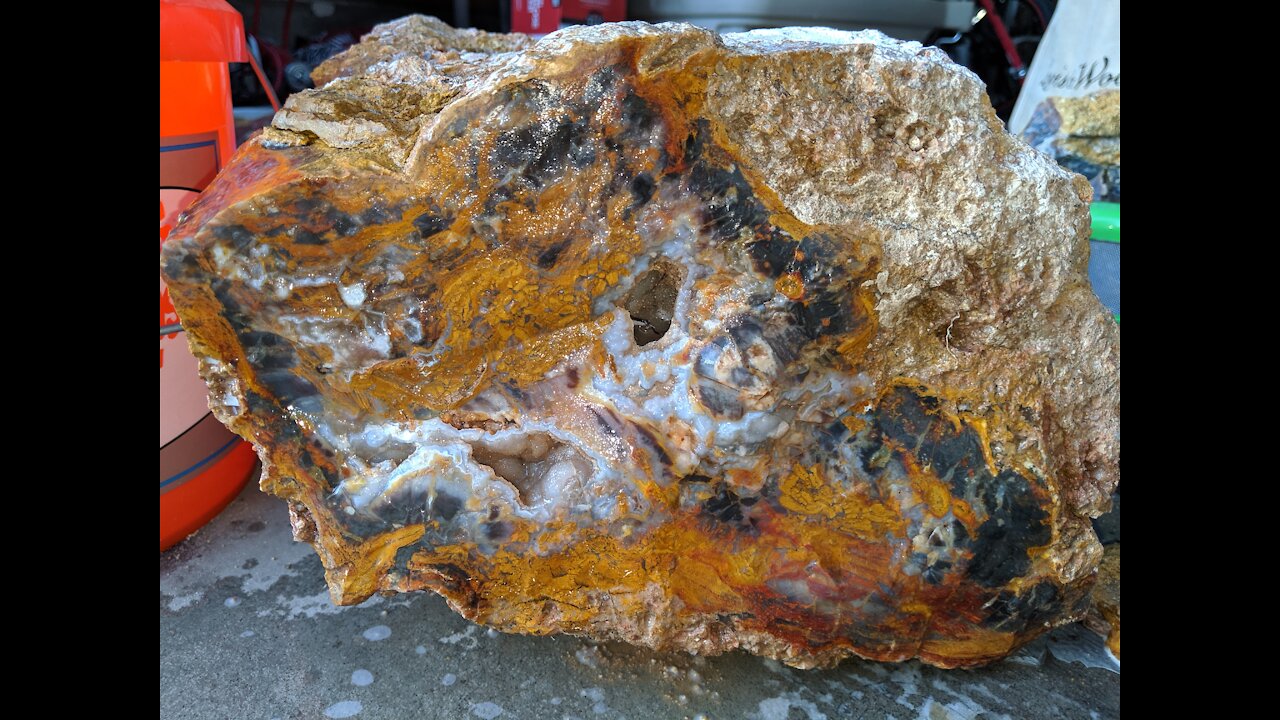 Finding, Digging Up Giant Log of Petrified Wood