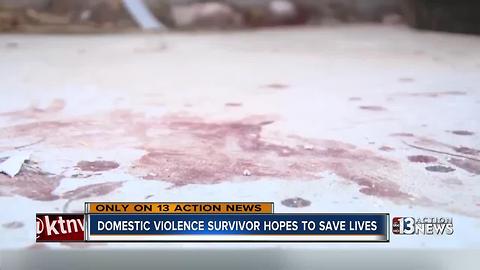 Domestic violence survivor hopes to save lives