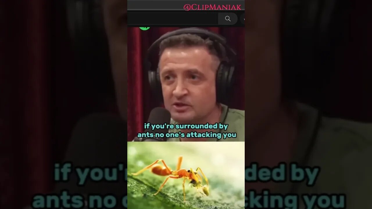 JOE ROGAN Meets ANT SPIDERS #shorts #shortvideo #short #mothernature #evolution