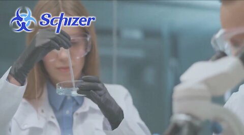 Schizer The Honest Big Pharma Company