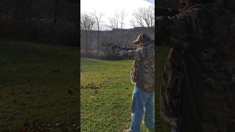 .38 spl light loads in 357 Chiappa Rhino.