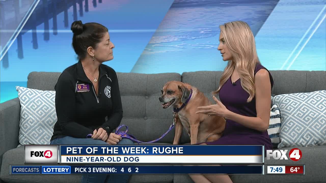 PET OF THE WEEK: RUGHE