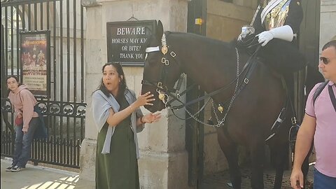 All smiles until your fingers get bitten #horseguardsparade