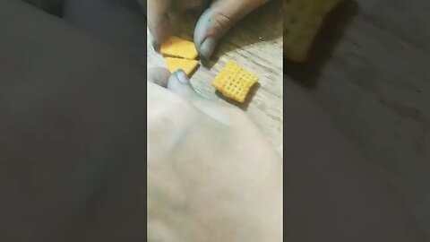 cheese cracker eats cereal