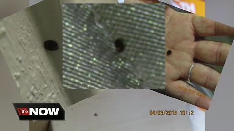 Lakeland senior living apartment infested with bed bugs