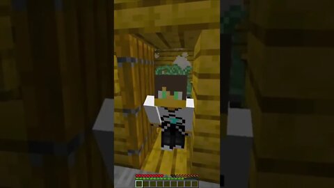 Minecraft #tiktok #Shorts