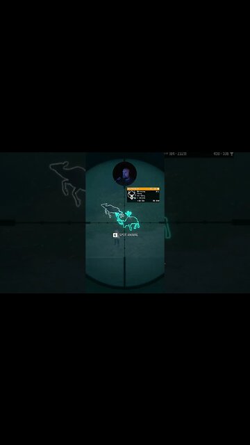 Finaly i did it #callofthewild #thehuntercallofthewild #cotw #mrandmrswolfgaming #shorts