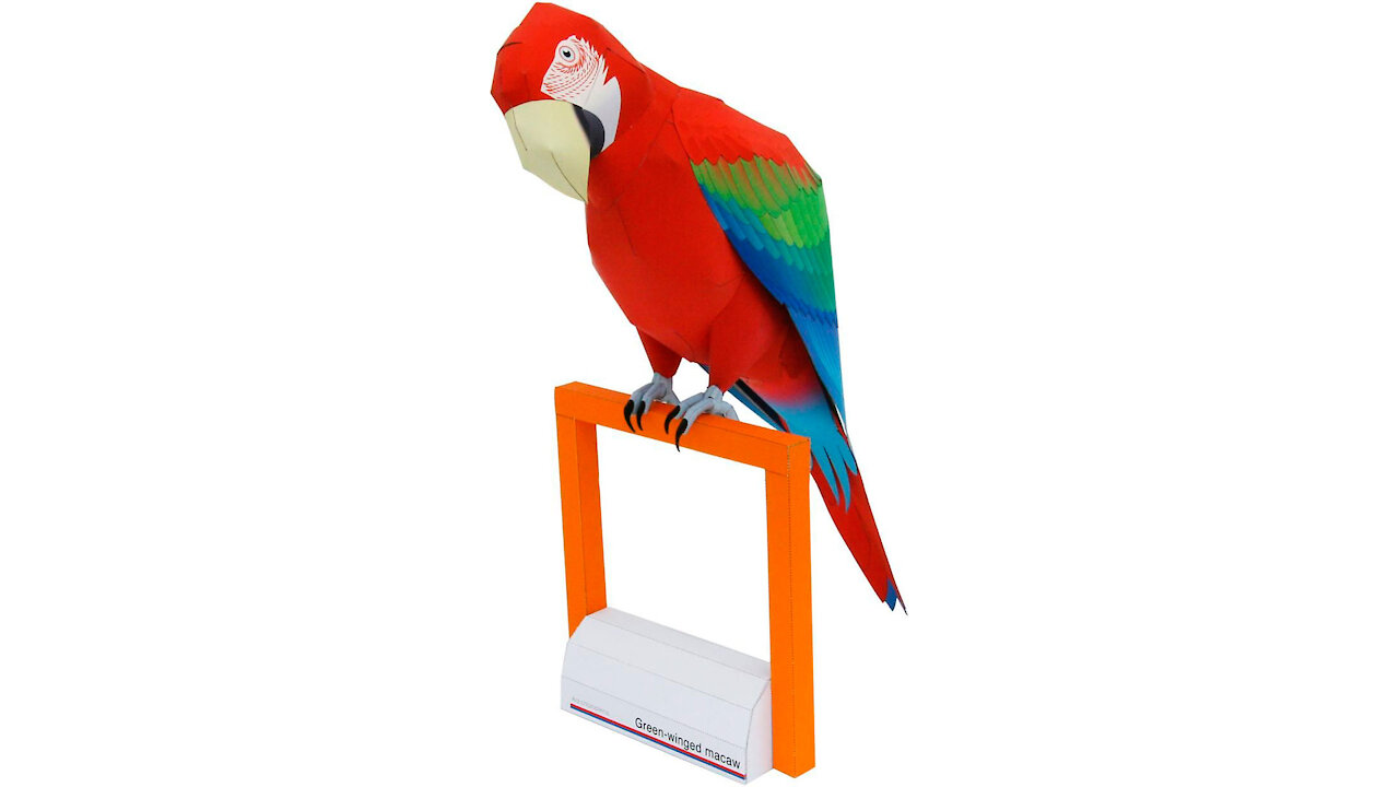 Red paper macaw/Guacamayo de papel rojo/Arara vermelha de papel