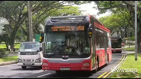 Bus Spotting at various places in #Singapore XI