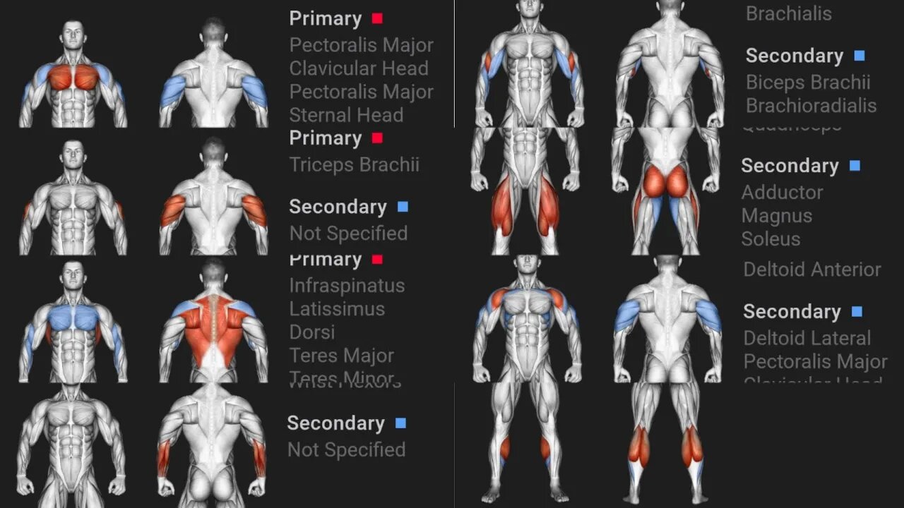 FULL BODY Only with dumbbells