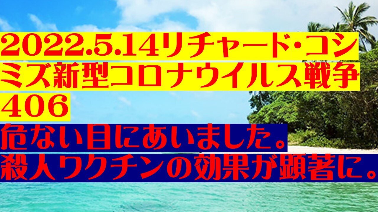 2022.05.14 リチャード・コシミズ新型コロナウイルス戦争４０６