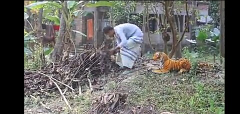 Prank video fake tiger