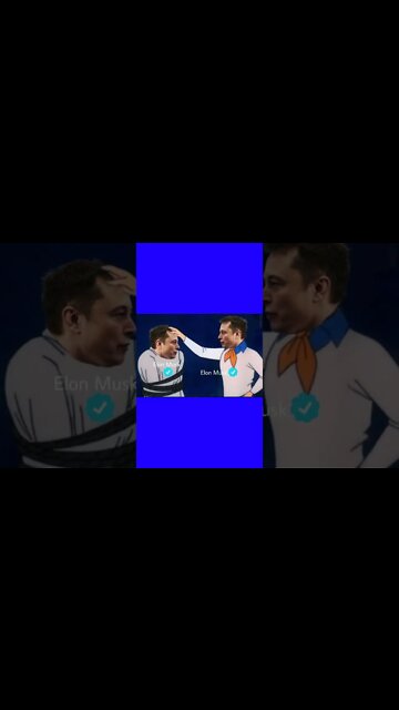 Elon Musk vs. Scammers