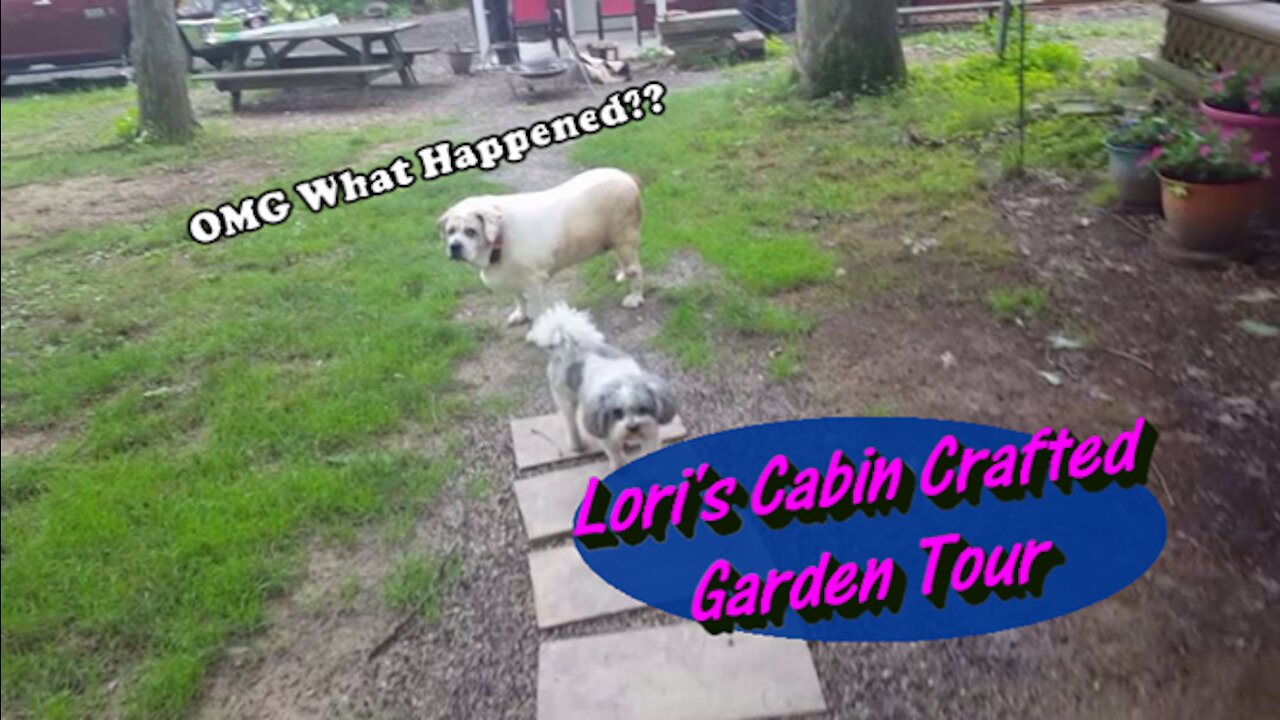 Garden Tour OMG What Happened