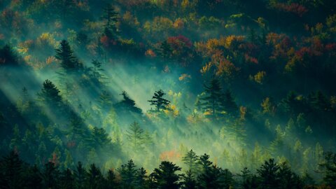 The Breathtaking Beauty of Nature