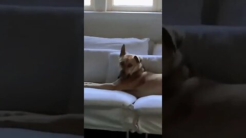 Tiktok Videos | Tavernoftinst | #fyp #short #tiktok #tiktokdance