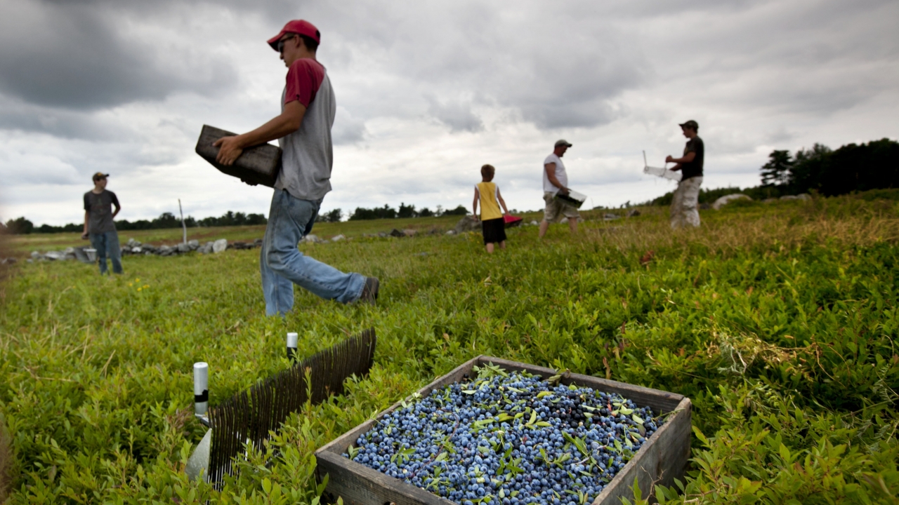 USDA To Announce First Phase Of Coronavirus Relief For Farmers