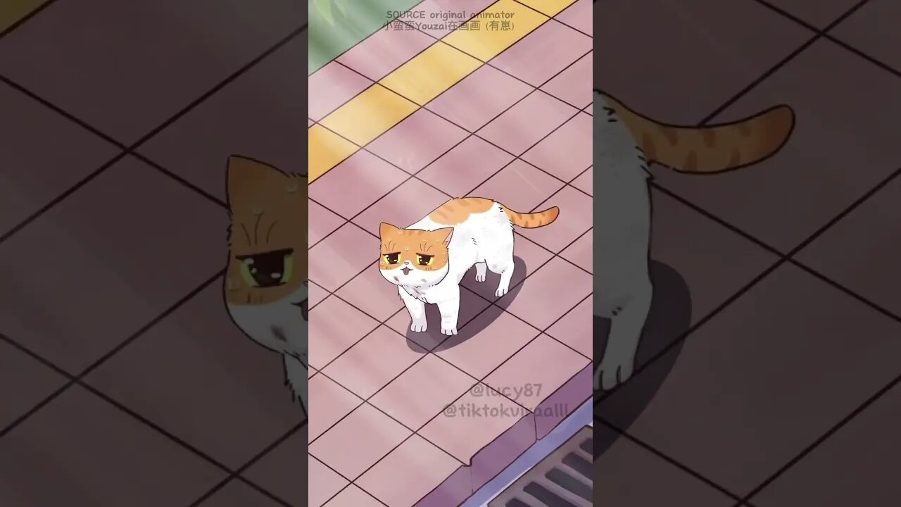 Kucing ini kehausan karena musim panas yang panjang #shorts