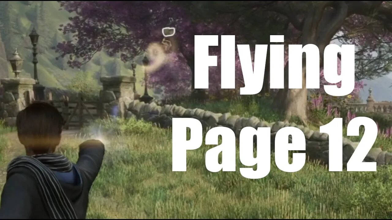 Hogwarts Legacy Flying Page 12