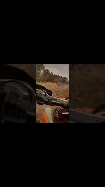 The moon is out on Moon Hill singletrack