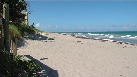 Red tide and the effects on your health